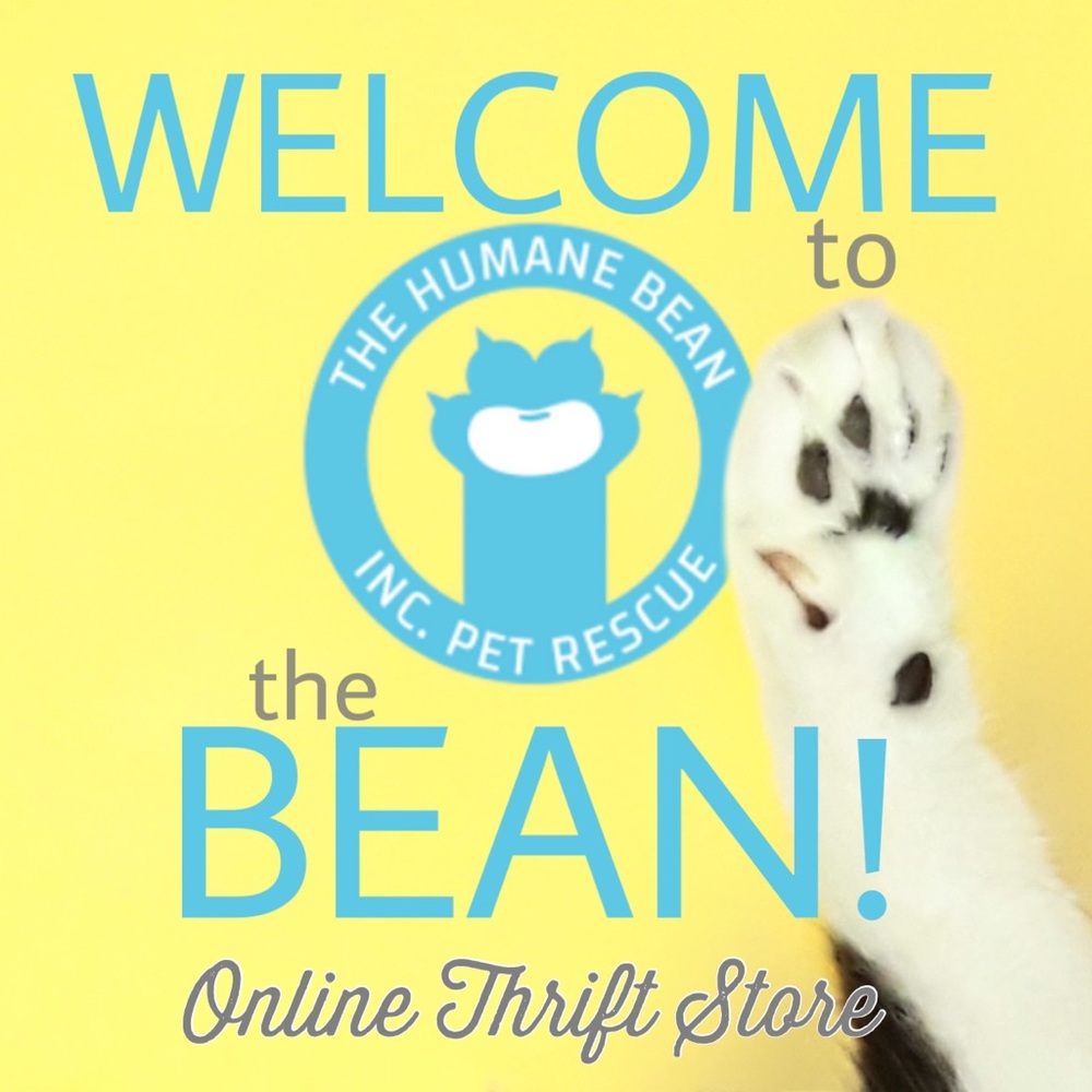 🐶🐱Welcome!🐱🐰
